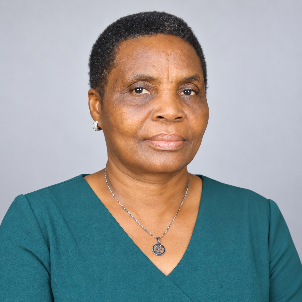 Eng. Teyana S. Sapula